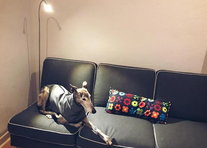 Апартаменти Vivienda Turistica Centrica Junto Al Museo Con Wifi *