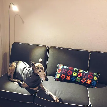 アパート Vivienda Turistica Centrica Junto Al Museo Con Wifi *